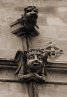 Gargoyle