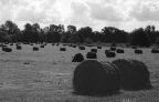 Haystacks
